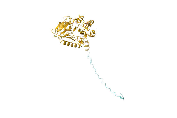 AF-A0A1Q7GH59-F1 image