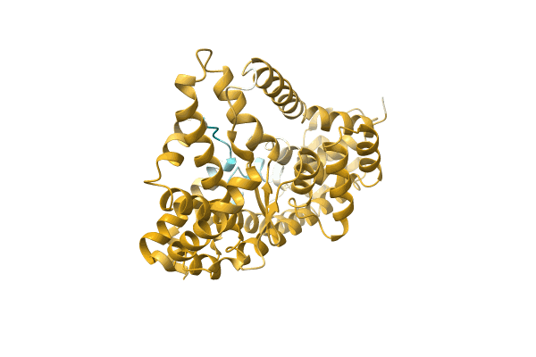 AF-A0A1Q7KYD1-F1 image