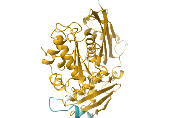 AF-A0A1Q9NBL8-F1 image