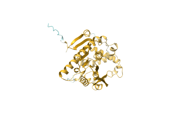 AF-A0A1Q9PYP0-F1 image