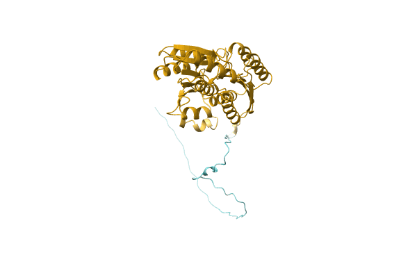 AF-A0A1Q9U3Y2-F1 image
