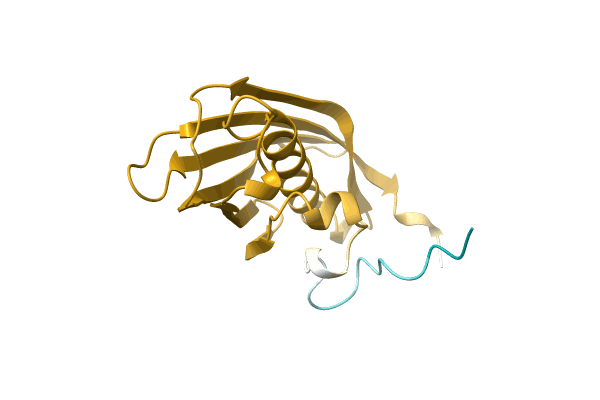 AF-A0A1Q9U5G6-F1 image