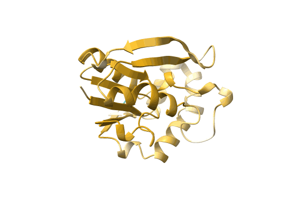 AF-A0A1Q9YMH4-F1 image