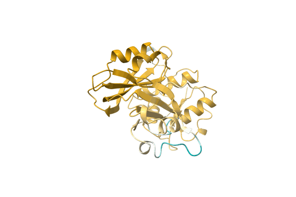 AF-A0A1Q9YMI6-F1 image
