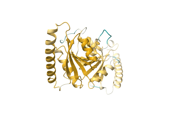AF-A0A1R4I3K4-F1 image