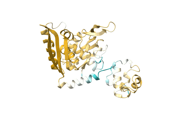 AF-A0A1R4IGS9-F1 image