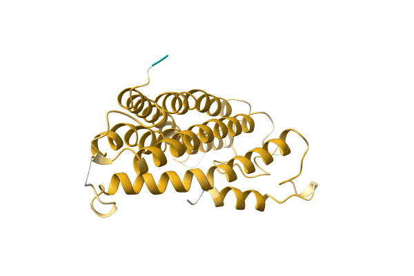 AF-A0A1S5RKG2-F1 image