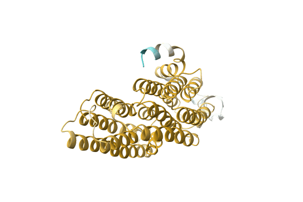 AF-A0A1S5WH21-F1 image