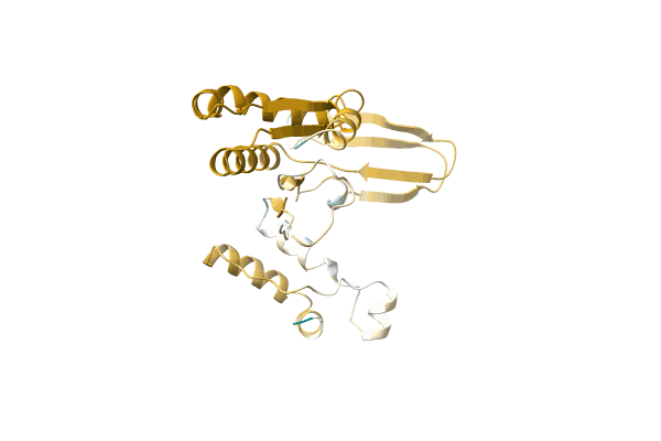 AF-A0A1S6PZW5-F1 image