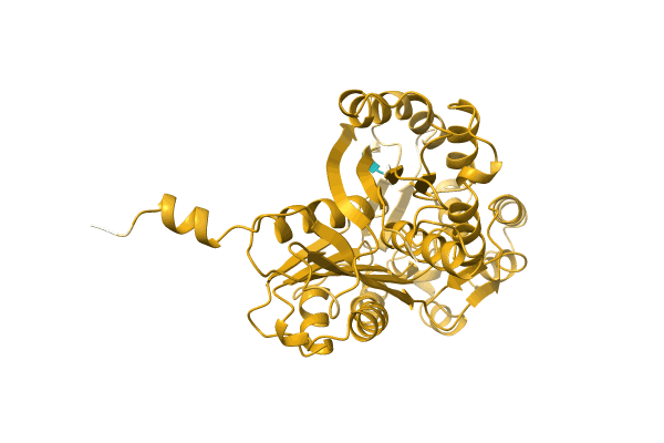 AF-A0A1W5VKE8-F1 image