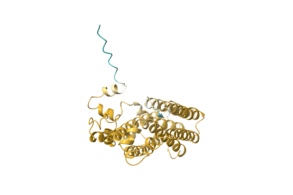 AF-A0A1Y0BRF7-F1 image