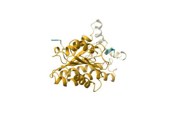 AF-A0A1Y0BRF8-F1 image