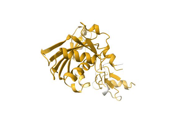 AF-A0A1Y0JZK8-F1 image