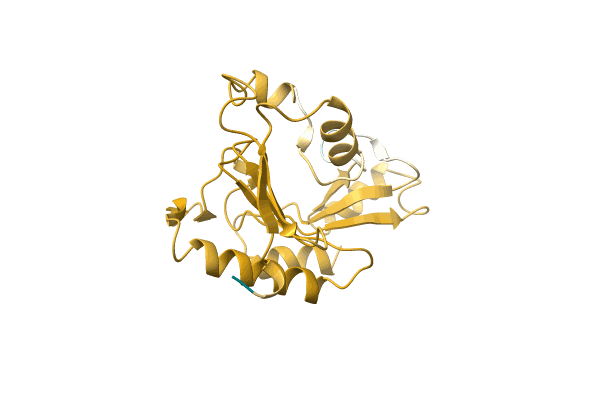 AF-A0A1Y0K022-F1 image