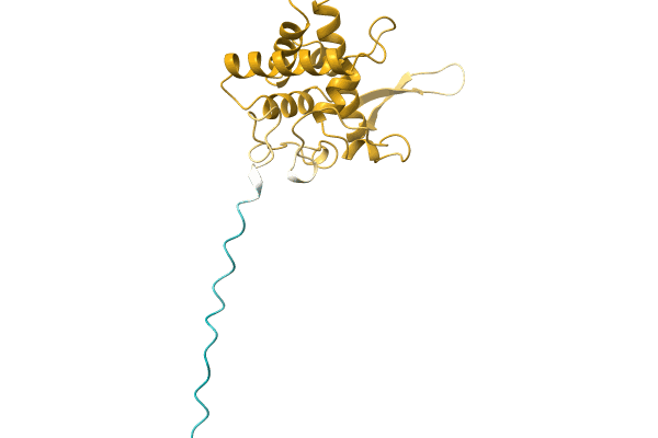 AF-A0A1Y0K174-F1 image