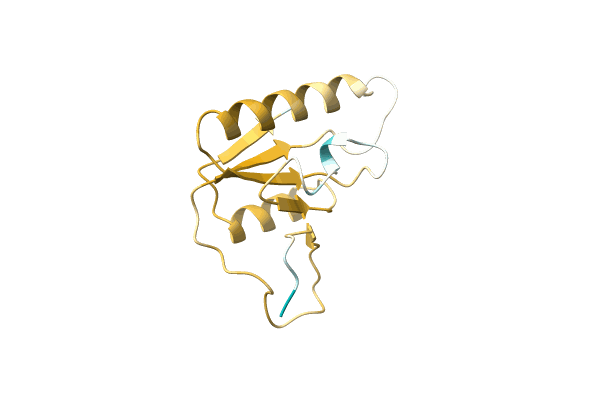 AF-A0A1Y0K1H9-F1 image