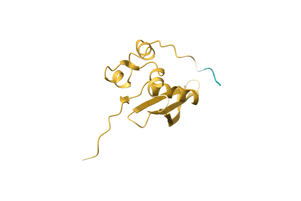 AF-A0A1Y0K252-F1 image