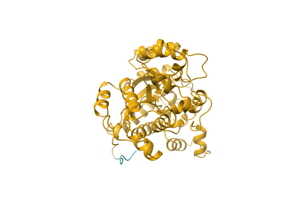 AF-A0A1Y3DYH2-F1 image