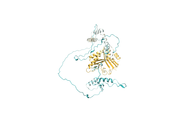 AF-A0A1Z1R1V4-F1 image
