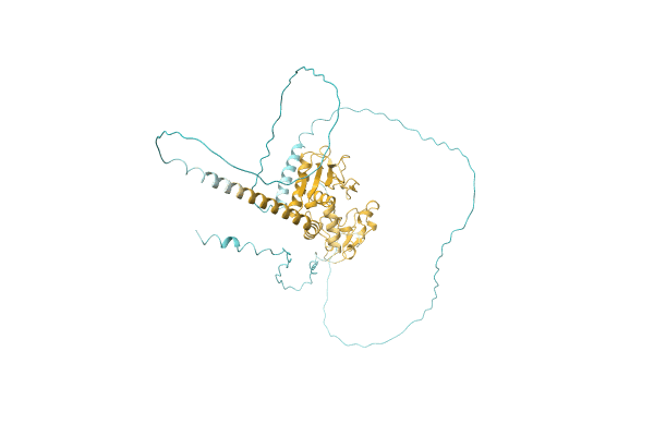 AF-A0A212FMB4-F1 image