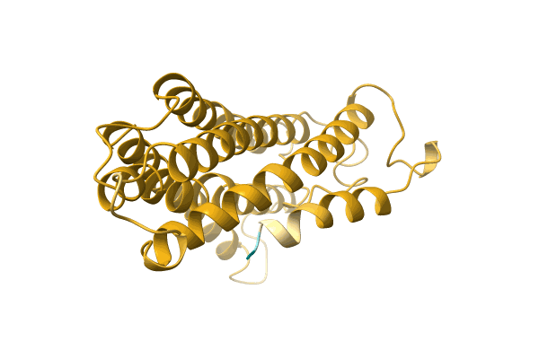 AF-A0A219WGU3-F1 image