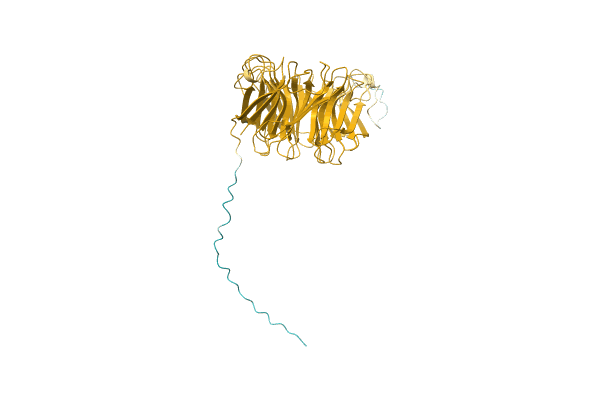 AF-A0A2A5GXV7-F1 image