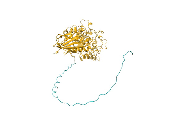 AF-A0A2A5GXW1-F1 image
