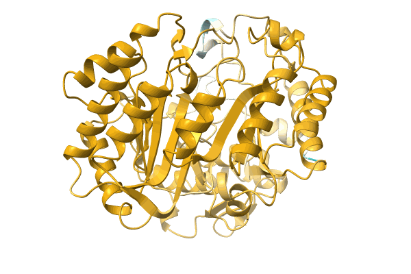 AF-A0A2A5HKL6-F1 image