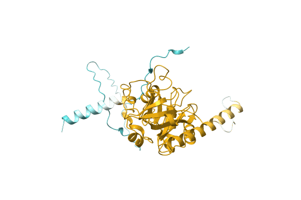 AF-A0A2A6MDD9-F1 image