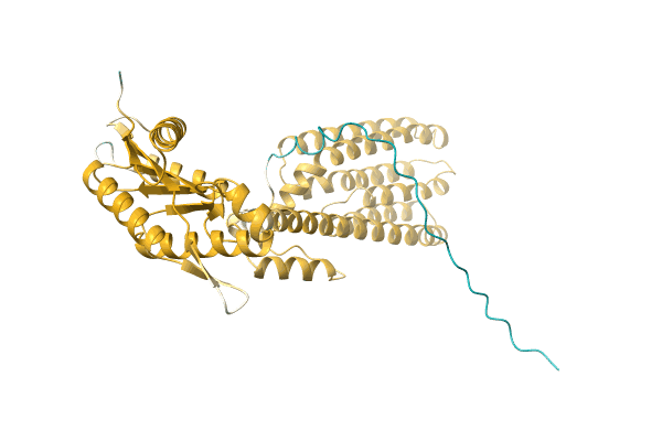 AF-A0A2C9WS12-F1 image