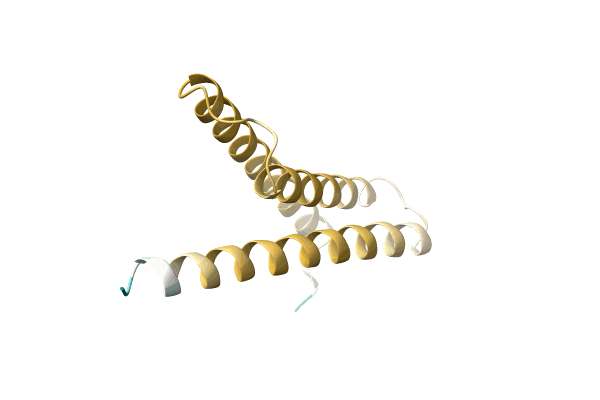 AF-A0A2D1KXS7-F1 image