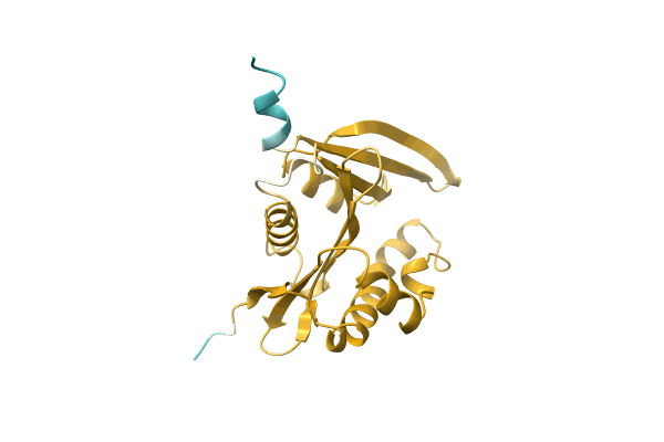 AF-A0A2D3U5F7-F1 image