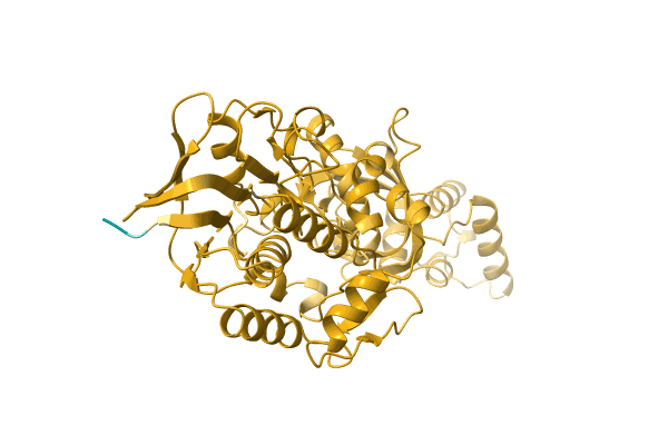 AF-A0A2D3WM67-F1 image