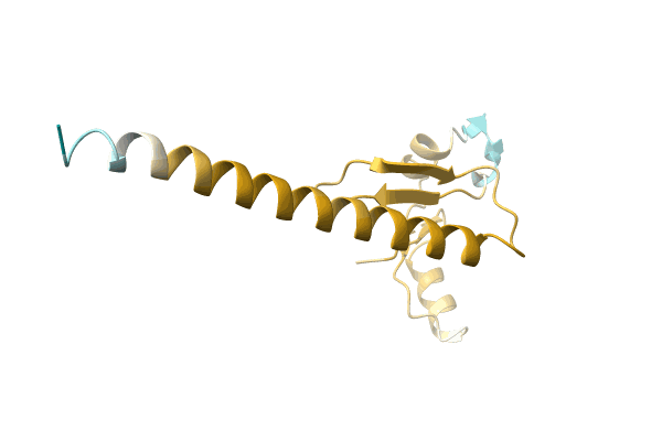 AF-A0A2D5G3G5-F1 image