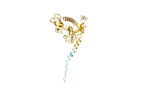 AF-A0A2D5JGT9-F1 image