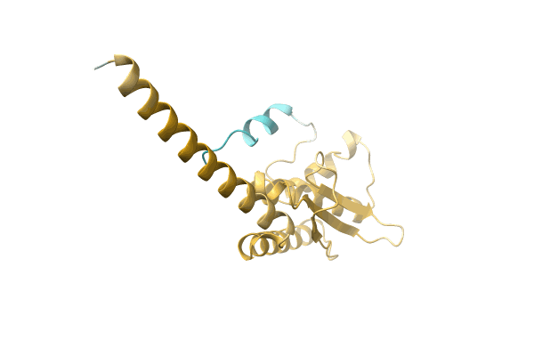 AF-A0A2D5JHA9-F1 image