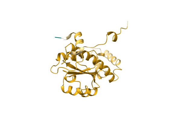 AF-A0A2D5JHD1-F1 image