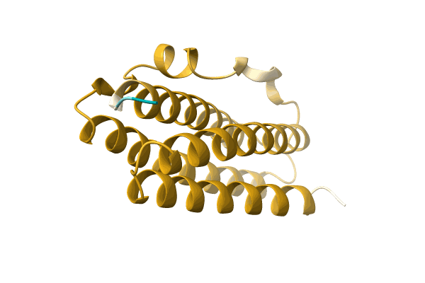 AF-A0A2E6Y6S9-F1 image