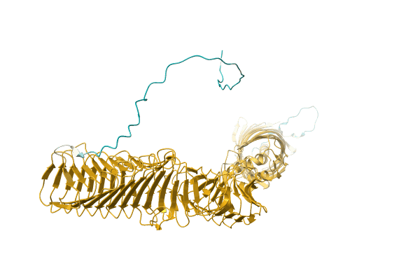 AF-A0A2E6Y6W2-F1 image