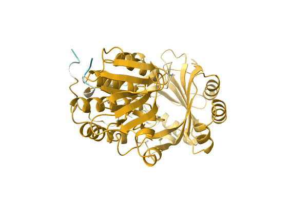 AF-A0A2G5ICC7-F1 image