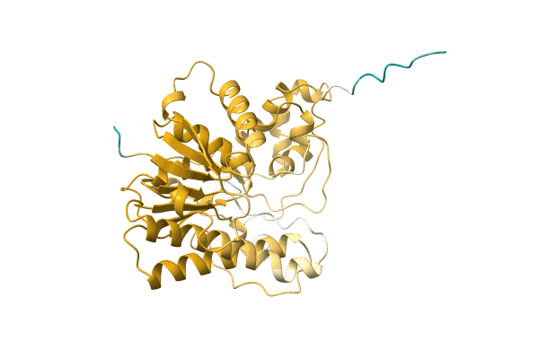AF-A0A2G5ICG8-F1 image