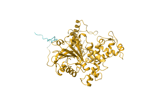 AF-A0A2G5ICZ9-F1 image
