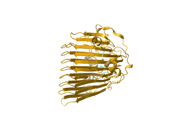 AF-A0A2G9LNU8-F1 image