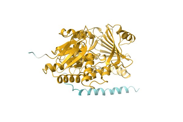 AF-A0A2I1BSV1-F1 image