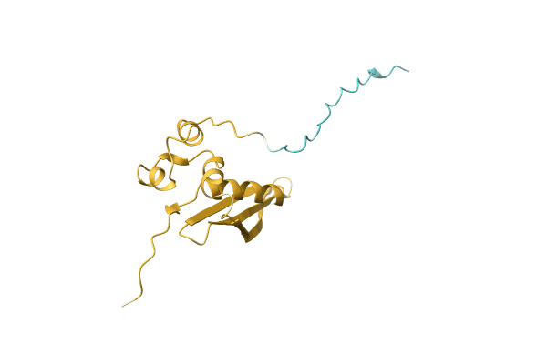 AF-A0A2P0ZXV2-F1 image