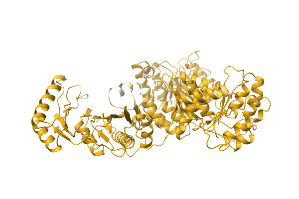 AF-A0A2P1BT06-F1 image