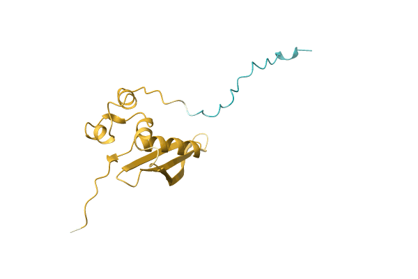 AF-A0A2S1ZQU8-F1 image