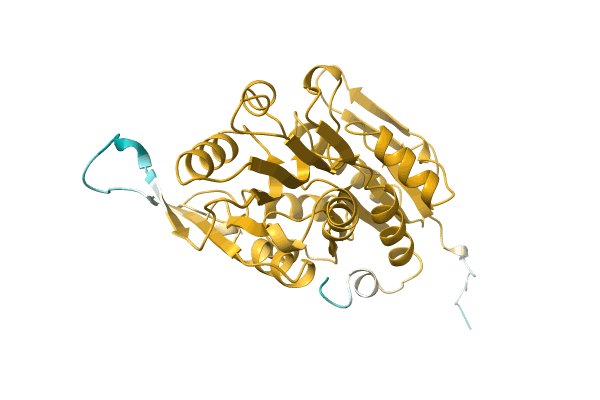 AF-A0A2S5VQ68-F1 image