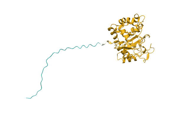 AF-A0A2U3PZB8-F1 image