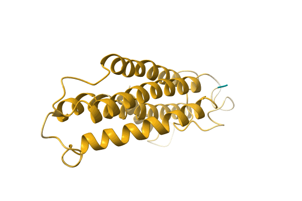 AF-A0A2U4XMJ4-F1 image